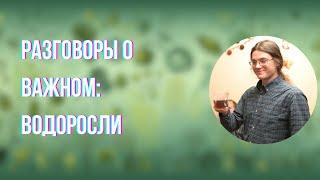 О самом главном и жизненных циклах: Водоросли | Евгений Губанов