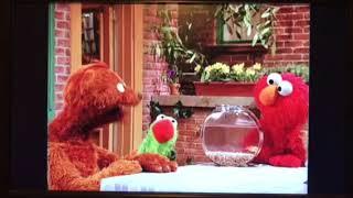 Sesame Street - Animal Sounds