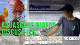 AQUASCAPE DISCUS BIOTOP | SETTING HARDSCAPE YANG NYAMAN UNTUK DISCUS | IKAN DISCUS DIJAMIN SEHAT !!!