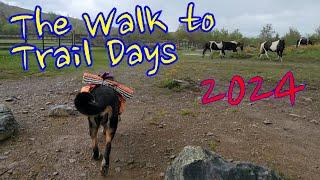 Willow Walks to Trail Days 2024 (Durston Gear Wapta 30 First Ride)