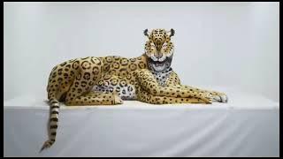 SPECTACULAR BODY PAINT /  ARTE EN EL CUERPO ESPECTACULAR