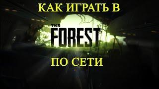 The Forest 0.09 ⇒ Как играть по сети через Hamachi [Пиратка + лицензия]