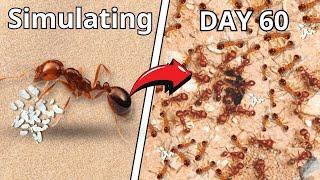 Simulating an Ant Colony for 60 Days  ANTTREK