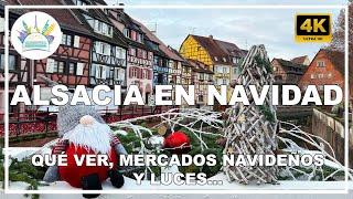 Alsacia en navidad 2024: mercados navideños, luces y festivales - Viajando por el Mundo Mundial