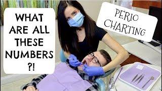 Why Are My Gums Numbered At The Dentist? (Dental Hygienist Explains Perio Charting and Probing)