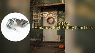 Miniature High Safety Cam Lock #101230 | ABA Locks - Safes | Lock Strength | High Security Locks