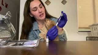 Canine Spectra Vaccines for puppies / dogs DIY vaccinations the process