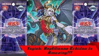 Yugioh: Reptilianne Echidna is Amazing!!!