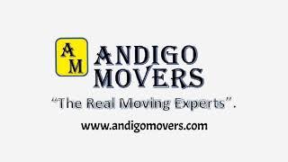 Andigo Movers explainer video in West Palm Beach