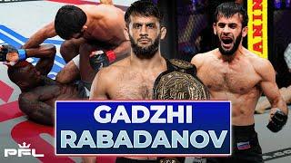 Gadzhi Rabadanov  Гаджи Рабаданов | Every Win In Bellator & PFL | 24/7 Live Stream