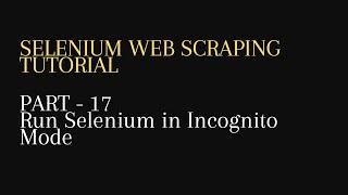 17. Run selenium in Incognito Mode -Python