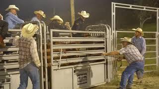 Slow Motion Bronc Rides - Colby George on Juicy