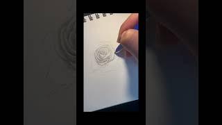 Rose (realism) Drawing!