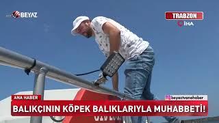 Balıkçının köpek balıklarıyla muhabbeti!