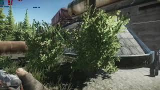 Escape From Tarkov Дикий минус