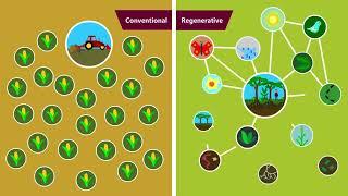 Регенеративное земледелие Восстановительное земледелие - какое оно?