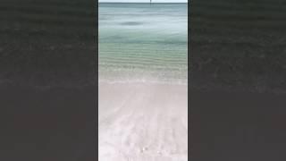 Waves Clip MP4 for PowerPoint Use