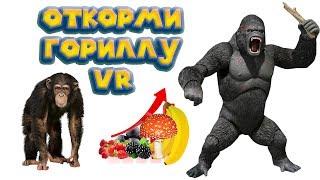 VR ОТ ГОРИЛЛЫ ДО КИНГКОНГА GrowRilla