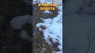 Весенний поиск ЗОЛОТА