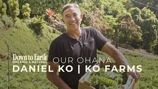 Local Hawaii Farms: A Day at Ko Farms