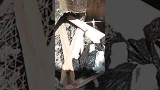how we prepare food on the homestead |village cooking channel |offgrid homestead #viral #shorts