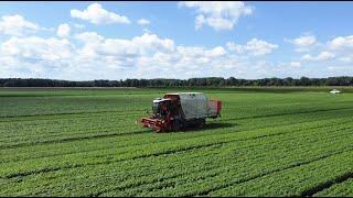 Tiefkühl-Gemüse aus dem Marchfeld - Vom Feld auf's Teller