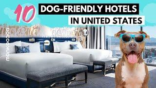 Best 10 Pet Friendly Hotels in the US || Top Dog Friendly Hotels and Resorts || Monkoodog