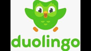 duolingo. 13-ть дней в ударе!