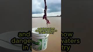 Dangerous fishing #comedyvideo #humor #prank #memes #rofl  #story #genius #funny #failure #fishing