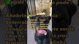 Qual verdura que seu cão gosta ? #pets #dog #cachorro #cat #rottweiler #cachorrosdivertidos