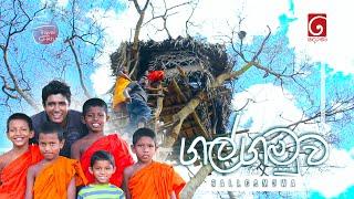 සුන්දර ගල්ගමුව  | Travel with Chatura  | Galgamuwa