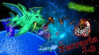 Terraria 1.3 (Expert) - Герцог Рыброн (Duke Fishron)