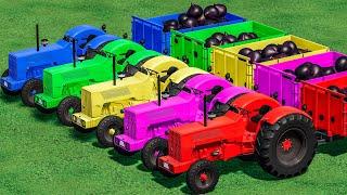 SWEET FRUITS & TRANSPORT FIGS WITH MINI HANOMAG TRACTORS! Farming Simulator 22