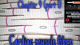 Cardiac muscle fiber chap 9 part 1 guyton and hall text book of medical physiology- heart physiology