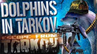 DOLPHINS IN TAKOV! - EFT WTF MOMENTS  #265 - Escape From Tarkov Highlights