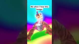 Me when I hear this banger #gorillatag #birthdayparty #vr #funny #viral #banger #edit #ratdance