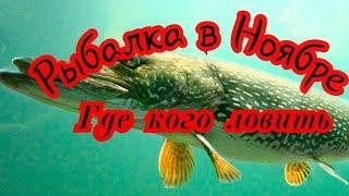 Рыбалка в Ноябре. Кого на Что и Где ловить. Особенности ноябрьской рыбалки.