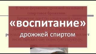 "воспитание" дрожжей спиртом|самогон|самогоноварение для начинающих|азбука винокура