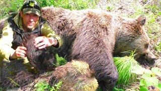 ОХОТА НА МЕДВЕДЯ / ВЗЯЛИ КРУПНОГО КОСОЛАПОГО НА ПРИВАДЕ/ УСПЕЛИ ЗАКРЫТЬ ЛИЦЕНЗИЮ В ПОСЛЕДНИЙ ДЕНЬ.