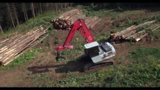 MVR Timber Cutting 2016