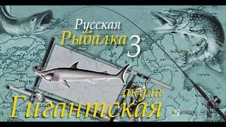 Русская рыбалка 3 99 Акула гигантская