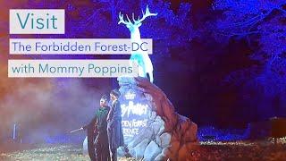 Visit Harry Potter's Forbidden Forest, DC with Mommy Poppins