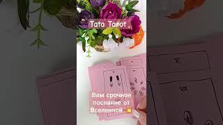Вам срочное послание от Вселенной  #обряды #талисмантаро #таро #tarot #эзотерика #таролог