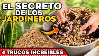 Los JARDINEROS y VIVEROS NO QUIEREN que SEPAS ESTO!! | 4 SECRETOS para CUIDAR tus PLANTAS y FLORES