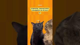Учитель  объясняет правило 10-й раз #математика #огэ #shorts