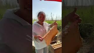 #Honey jujube honey. Take the honey first and ship it