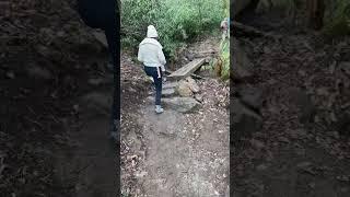 Asheville North Carolina! #hiking #ashville #northcarolina #cabin #shorts