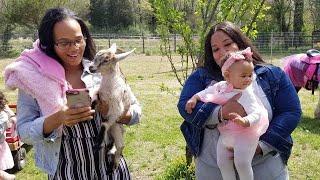 Amelia's Birthday on the Ranch