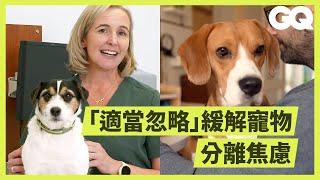 Veterinarian Explains How to Prevent Separation Anxiety｜GQ Taiwan