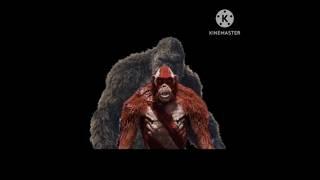 Angry Kong  (Godzilla x Kong meme) #comedy #shorts #godzilla #memes